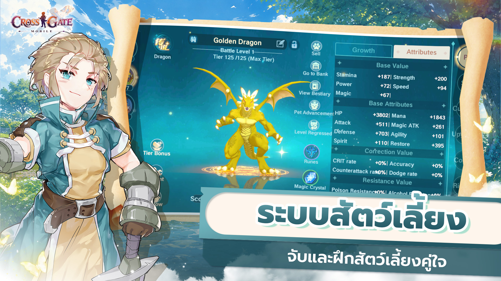 คุณสมบัติที่ 5